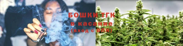 твердый Бородино