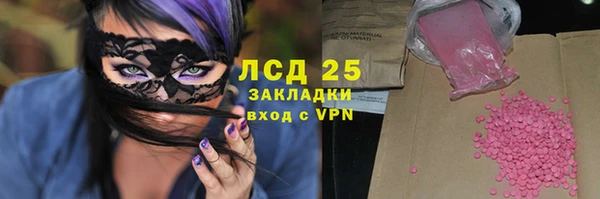 твердый Бородино