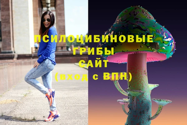 гидропоника Верея